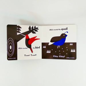 Bugs And Birds In The Quran!