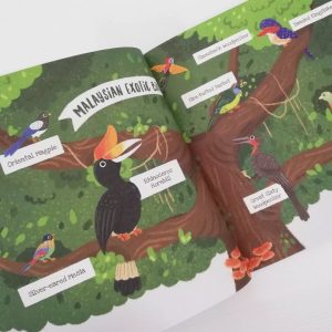 No Roar Day (Paperback)